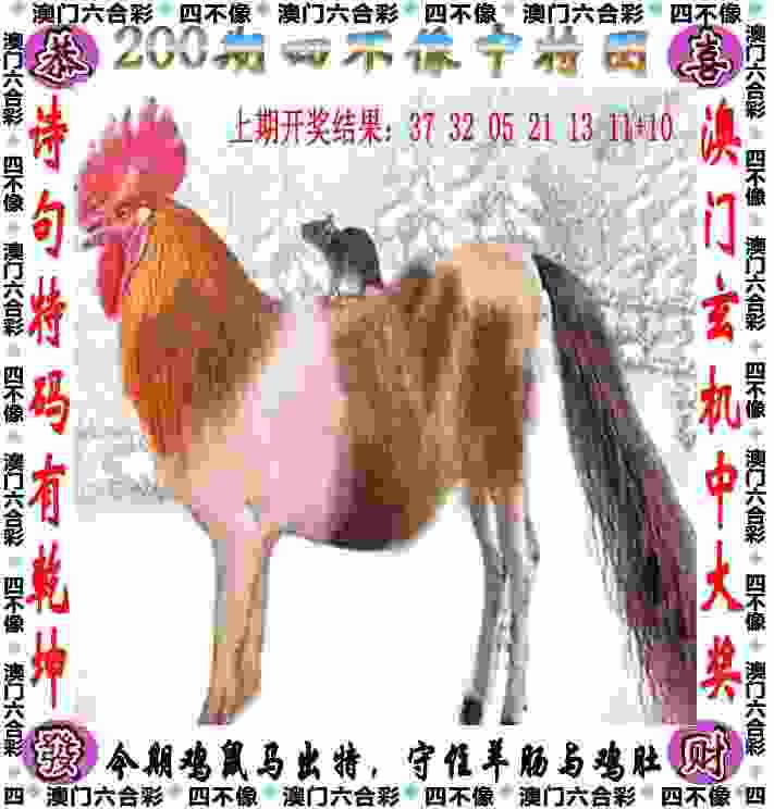 半决赛只丢一局，中国女乒轻松击败韩国闯进女团决赛